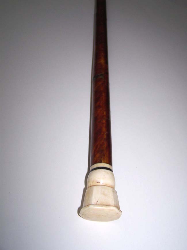 A Beautiful 19th century Whale Ivory Mounted Tortoiseshell Veneered Walking Stick circa 1840 — image 3